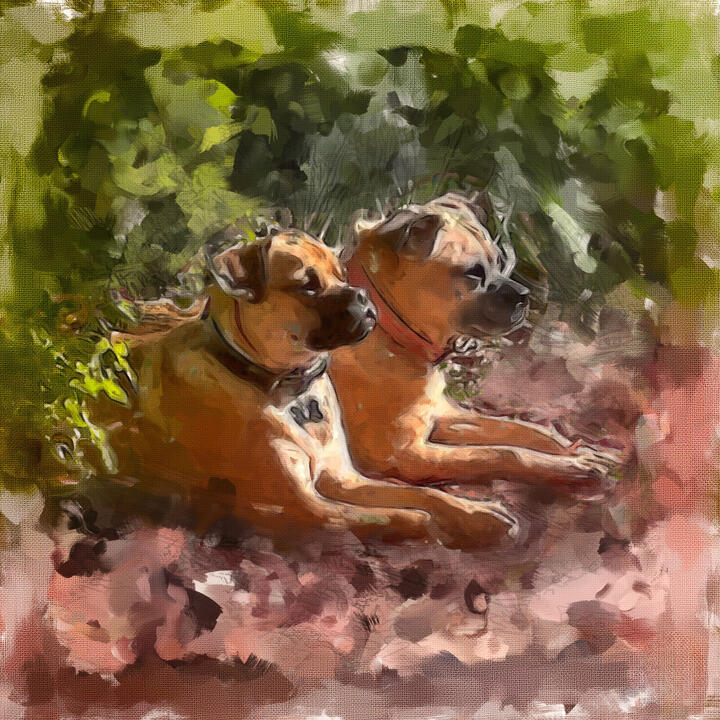 JAX & dd