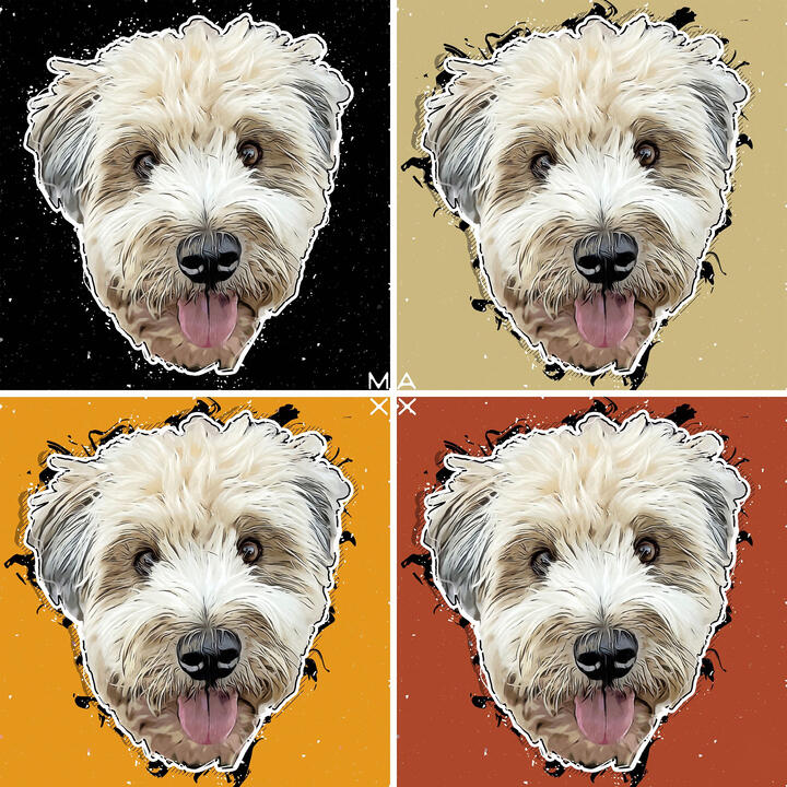 MAXX